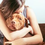 Καρκίνος στα σκυλιά Συμπτώματα διάγνωση θεραπεία