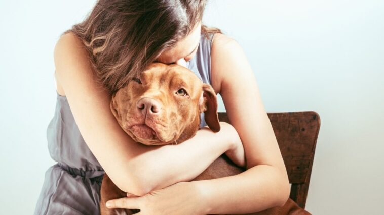 Καρκίνος στα σκυλιά Συμπτώματα διάγνωση θεραπεία