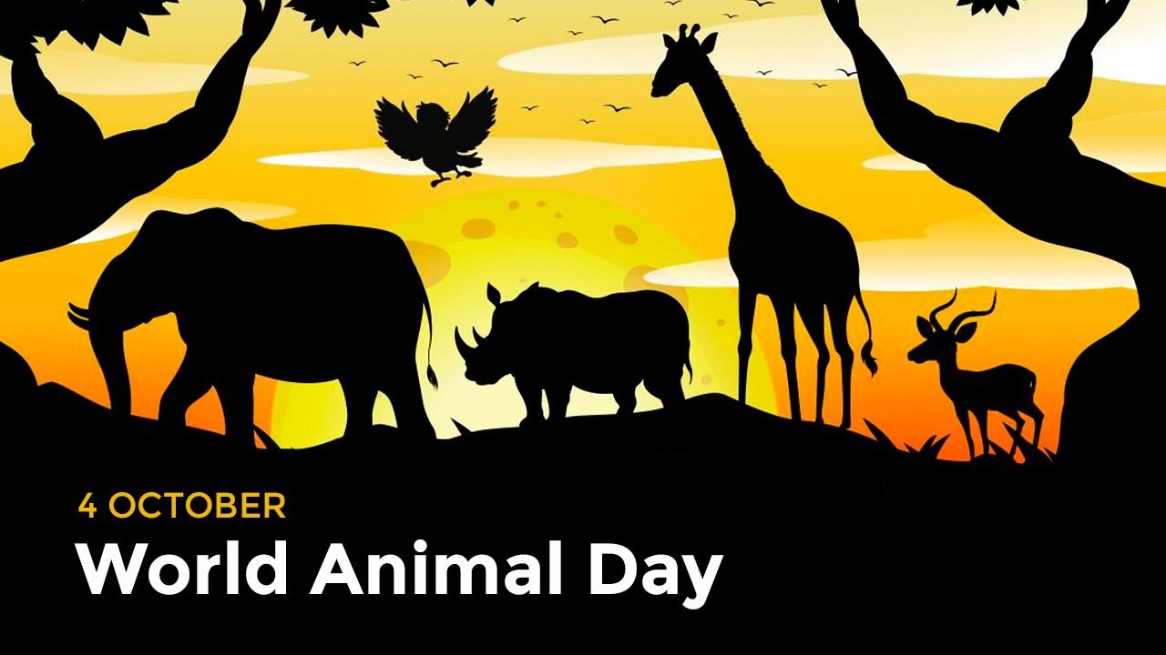 Παγκόσμια ημέρα των ζώων