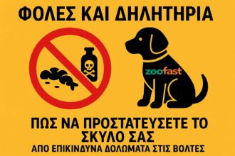 πώς να προστατεύσετε τον σκύλο σας από επικίνδυνα δολώματα στις βόλτες